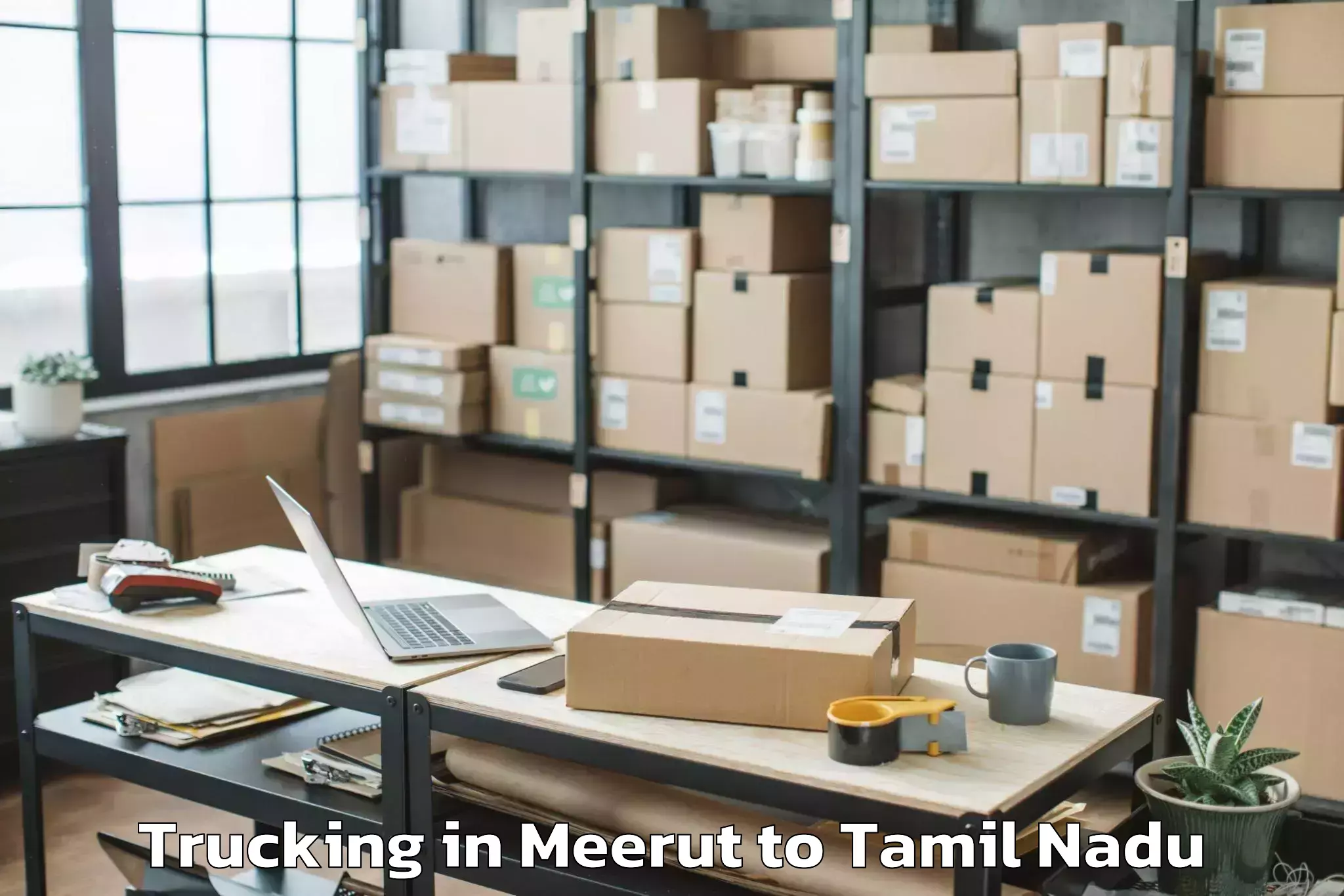 Leading Meerut to Vallam Trucking Provider